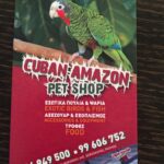 Cuban Amazon Pet shop