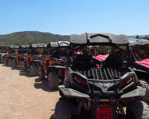 Golden Ride Buggy The Golden Ride Rentals - Pals Cyprus Directory